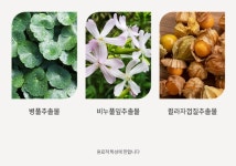 더마유어셀멜로뮤 | 더마유어셀 하트쉬 바디워시, 바디로선(택 1) - [백인희] 유앤아이리빙 - 친환경농산물을 사랑하는 사람들 더마유어셀 하트쉬 바디워시, 바디로선...