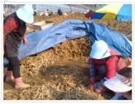 더덕+도라지 조청 - [매일 직거래장터] 실시간으로 상품이 올라갑니다 - 친환경농산물을 사랑하는 사람들 더덕+도라지 조청