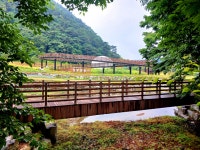 충남 청양 칠갑산과 공주 유구 수국 축제장 - ★ 산행사진 - 청주 화요성안산악회 충남 청양 칠갑산과 공주 유구 수국 축제장