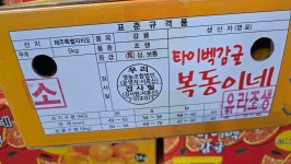 (마감)복동이네 타이벡소과 판매. - 반농사꾼의 먹거리 - 부치미네참살이 (마감)복동이네 타이벡소과 판매.