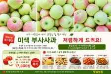 소양강사과착한농원 | 🍎주스용,요리활용 미색부사사과 17,800원 50BOX - 햇빛농원 사과 농산물 - 부치미네참살이 🍎주스용,요리활용 미색부사사과 17,800원...