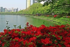 2021년 04월 27일 오늘의 말씀 묵상 편지 - 백성은 아침부터 저녁까지 모세 곁에 서 있는지라를 드립니다. - 진리 탐구 - 빛과 흑암의 역사... 