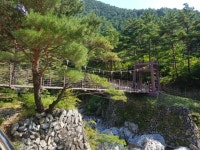 울진 백암산 - 산행 사진방 - 포항대정산악회 울진 백암산