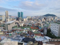 20250918(목)퇴근길(망향로) - 부자연 번개 ♣ 앨범 - (사)부산사랑범시민자전거연합회 20250918(목)퇴근길(망향로)