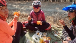 2.6(토)이곡마을-기장테마임도(백두사)-반송고개 - 부자연 투어 ♣ 앨범 - (사)부산사랑범시민자전거연합회 2.6(토)이곡마을-기장테마임도... 