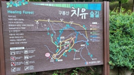 20240626 화욜 퇴근길(구봉산) - 부자연 번개 ♣ 앨범 - (사)부산사랑범시민자전거연합회 20240626 화욜 퇴근길(구봉산)