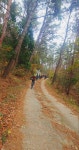 11/21(토) 달음산/옥정사 임도 - 부자연 투어 ♣ 앨범 - (사)부산사랑범시민자전거연합회 11/21(토) 달음산/옥정사 임도