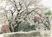 ▶ 박순래 展 - 천안 신부문화회관 - ▶ .............. 전시안내 - 예연회/藝緣會 ▶ 박순래 展 - 천안 신부문화회관