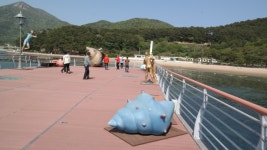 노자산 산행 - 정기산행 사진실 - 마산 산수원 산악회 노자산 산행