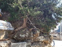 ♤ 해파랑길 걷기~ 21코스 (3/19) - 해파랑길 함께걸어요 - 바우길 바우길