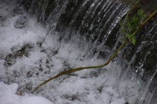 ♣하얀 포말에 마음을 담아~ - 9구간-헌화로 산책길 - 바우길 바우길