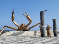 ♤해파랑길 걷기~ 24코스(3/ 21) - 해파랑길 함께걸어요 - 바우길 바우길