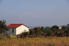 ♣보라빛의 제주도 - 바우길구간지기 소식 - 바우길 바우길