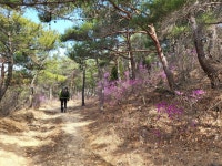 ♤해파랑길 걷기~ 22코스(3/20) - 해파랑길 함께걸어요 - 바우길 바우길