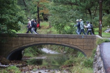 ♣하얀 포말에 마음을 담아~ - 9구간-헌화로 산책길 - 바우길 바우길
