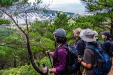 8구간에서 - 길은 사람이였습니다. - 8구간-산 우에 바닷길 - 바우길 바우길