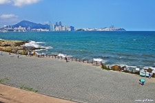 처음 걸었던 해파랑길 1구간 - 해파랑길 함께걸어요 - 바우길 바우길