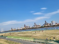 ♤ 해파랑길 걷기~ 16코스(3/14) - 해파랑길 함께걸어요 - 바우길 바우길