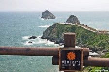 처음 걸었던 해파랑길 1구간 - 해파랑길 함께걸어요 - 바우길 바우길