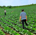 ♤ 안반데기에서 인생을 배우다 ! - 17구간-안반데기 운유길 - 바우길 바우길
