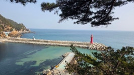 ♤ 9구간 점검 다녀왔습니다 ^^ - 9구간-헌화로 산책길 - 바우길 바우길