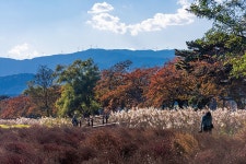 바우길 11구간 - 가을이니까... - 11구간-신사임당길 - 바우길 바우길
