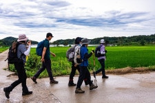 ...? 그래요 그래도, 걷기만 했는데요 - 15구간-강릉수목원 가는길 - 바우길 바우길