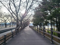 ♤해파랑길 걷기~25코스(3/22) - 해파랑길 함께걸어요 - 바우길 바우길