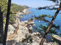 ♤ 해파랑길 걷기~ 21코스 (3/19) - 해파랑길 함께걸어요 - 바우길 바우길