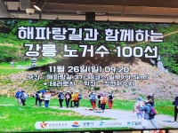 ♤ 해파랑길과 함께 하는 강릉 노거수 100선 마지막회 (11/26) - 바우길 외 걷기와 산행후기 - 바우길 ♤ 해파랑길과 함께 하는 강릉 노거수... 