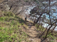 ♤ 해파랑길 걷기~ 15코스(3/13) - 해파랑길 함께걸어요 - 바우길 바우길