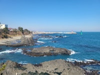 ♤ 해파랑길 걷기~ 10코스 - 해파랑길 함께걸어요 - 바우길 바우길