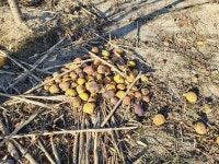 ♤ 해파랑길에 남겨진 우리들의 이야기 ^^ - 해파랑길 함께걸어요 - 바우길 바우길