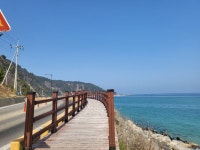 ♤해파랑길 걷기~ 24코스(3/ 21) - 해파랑길 함께걸어요 - 바우길 바우길