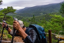 8구간에서 - 길은 사람이였습니다. - 8구간-산 우에 바닷길 - 바우길 바우길