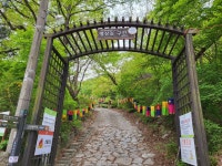 ♤북한산과 도봉산을 연결하는 서울둘레길 8코스를 걷다 (1) - 4/21 - 바우길이 아닌곳 걷기와 산행후기 - 바우길 ♤북한산과 도봉산을... 