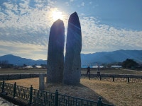 ♤ 해파랑길과 함께 하는 강릉 노거수 100선 마지막회 (11/26) - 바우길 외 걷기와 산행후기 - 바우길 ♤ 해파랑길과 함께 하는 강릉 노거수... 