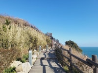 ♤ 해파랑길의 시작 1구간~ - 해파랑길 함께걸어요 - 바우길 바우길