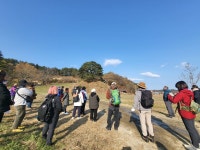 ♤ 해파랑길과 함께 하는 강릉 노거수 100선 마지막회 (11/26) - 바우길 외 걷기와 산행후기 - 바우길 ♤ 해파랑길과 함께 하는 강릉 노거수... 