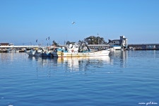 2017. 1. 3. 걸었던 해파랑길 - 해파랑길 함께걸어요 - 바우길 바우길