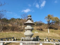 ♤ 해파랑길과 함께 하는 강릉 노거수 100선 마지막회 (11/26) - 바우길 외 걷기와 산행후기 - 바우길 ♤ 해파랑길과 함께 하는 강릉 노거수... 