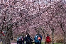 13구간 - 사람들은 평생 몇 번이나... - 13구간-향호 바람의 길 - 바우길 바우길