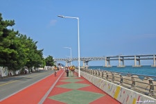 처음 걸었던 해파랑길 1구간 - 해파랑길 함께걸어요 - 바우길 바우길