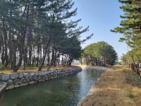 ♤해파랑길 걷기~ 24코스(3/ 21) - 해파랑길 함께걸어요 - 바우길 바우길