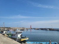 ♤ 해파랑길 걷기~ 18코스(3/16) - 해파랑길 함께걸어요 - 바우길 바우길