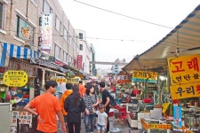 처음 걸었던 해파랑길 1구간 - 해파랑길 함께걸어요 - 바우길 바우길