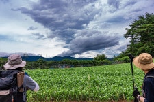...? 그래요 그래도, 걷기만 했는데요 - 15구간-강릉수목원 가는길 - 바우길 바우길