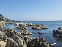 ♤ 해파랑길 걷기~ 23코스(3/ 21) - 해파랑길 함께걸어요 - 바우길 바우길