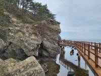 ♤ 해파랑길 걷기~ 16코스(3/14) - 해파랑길 함께걸어요 - 바우길 바우길