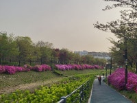 ♤강길, 숲길, 하천길이 조화로운 서울둘레길 3코스를 걷다~~(4/13) - 바우길이 아닌곳 걷기와 산행후기 - 바우길 ♤강길, 숲길, 하천길이... 